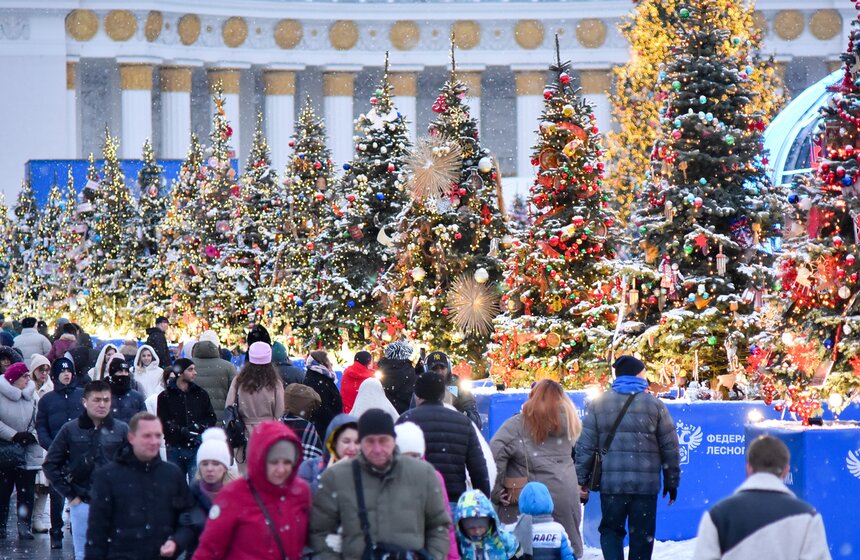Рождественскую программу подготовили на ВДНХ 19 фото