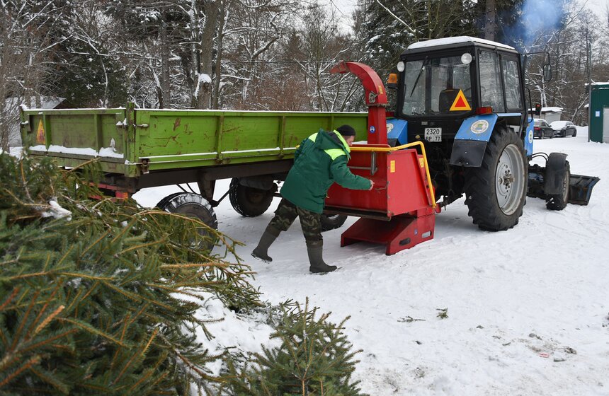 В Москве начали работать 600 пунктов приема деревьев в рамках акции "Елочный круговорот" 1 фото