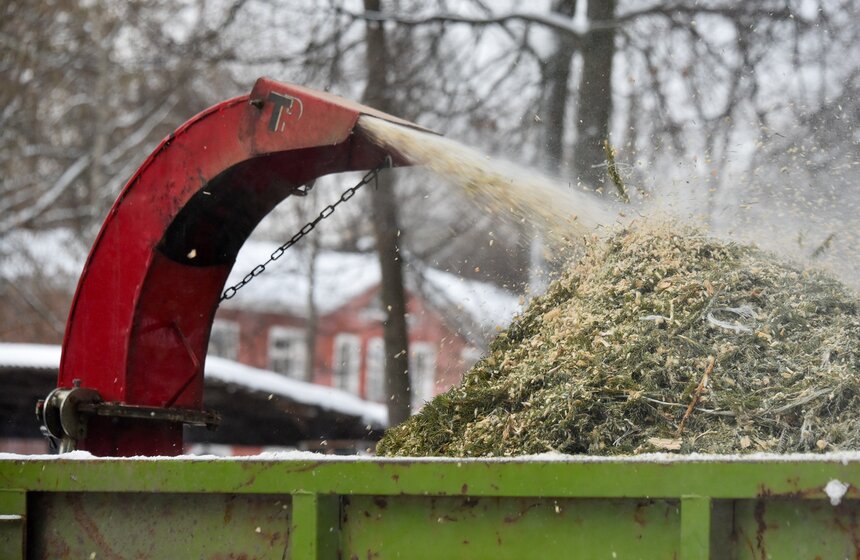 В Москве начали работать 600 пунктов приема деревьев в рамках акции "Елочный круговорот" 4 фото