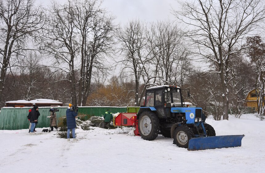 В Москве начали работать 600 пунктов приема деревьев в рамках акции "Елочный круговорот" 18 фото