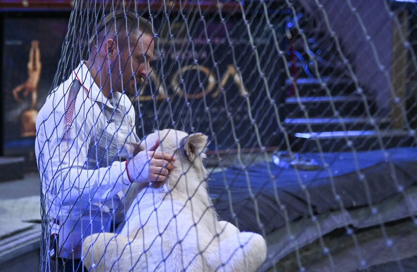 Презентация книги "Понять хищника" братьев Запашных прошла в Москве 17 фото