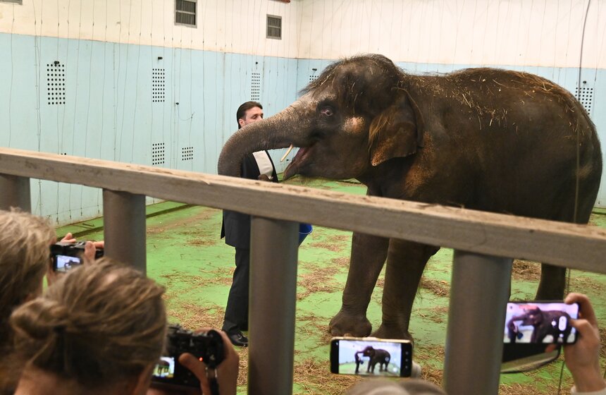 Презентация книги "Понять хищника" братьев Запашных прошла в Москве 23 фото