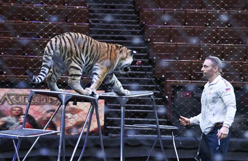 Презентация книги "Понять хищника" братьев Запашных прошла в Москве 16 фото