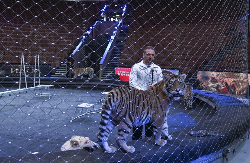 Презентация книги "Понять хищника" братьев Запашных прошла в Москве 6 фото