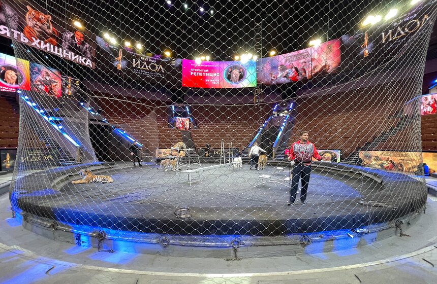 Презентация книги "Понять хищника" братьев Запашных прошла в Москве 3 фото