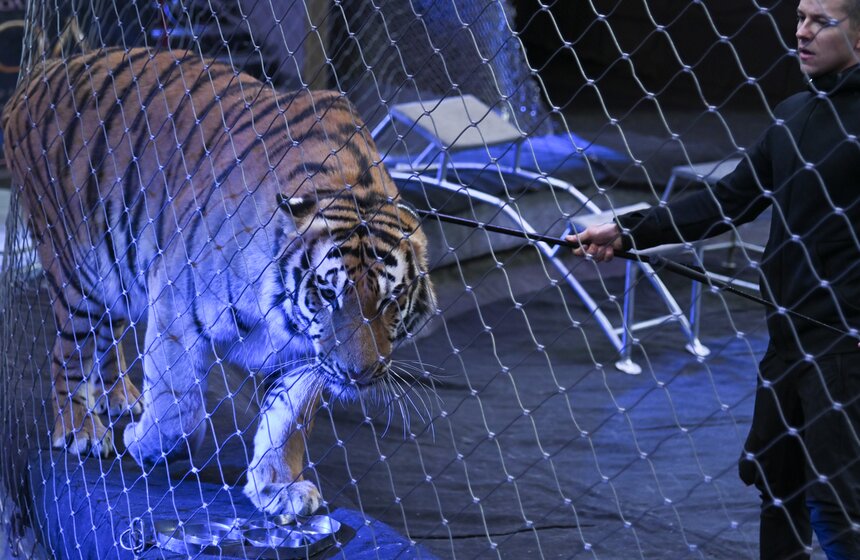 Презентация книги "Понять хищника" братьев Запашных прошла в Москве 5 фото