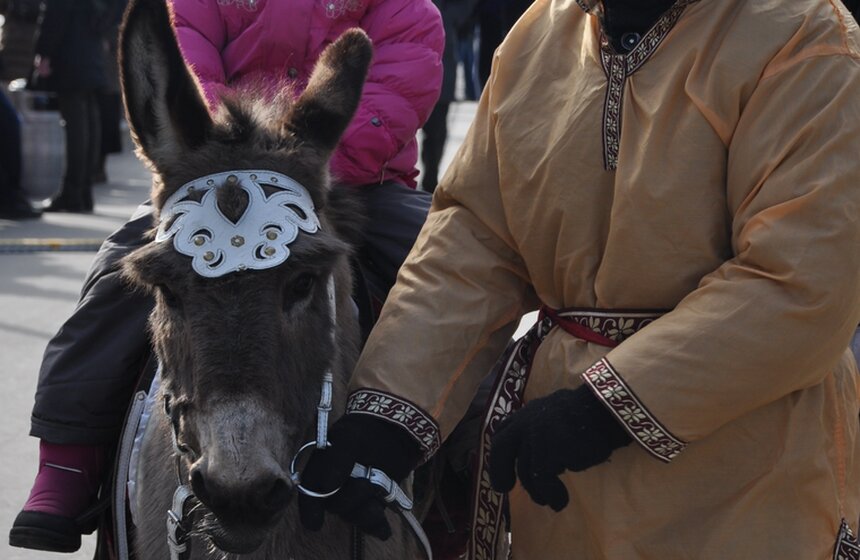 На Масленицу в "Музеоне" катают в упряжках и потчуют блинами 13 фото