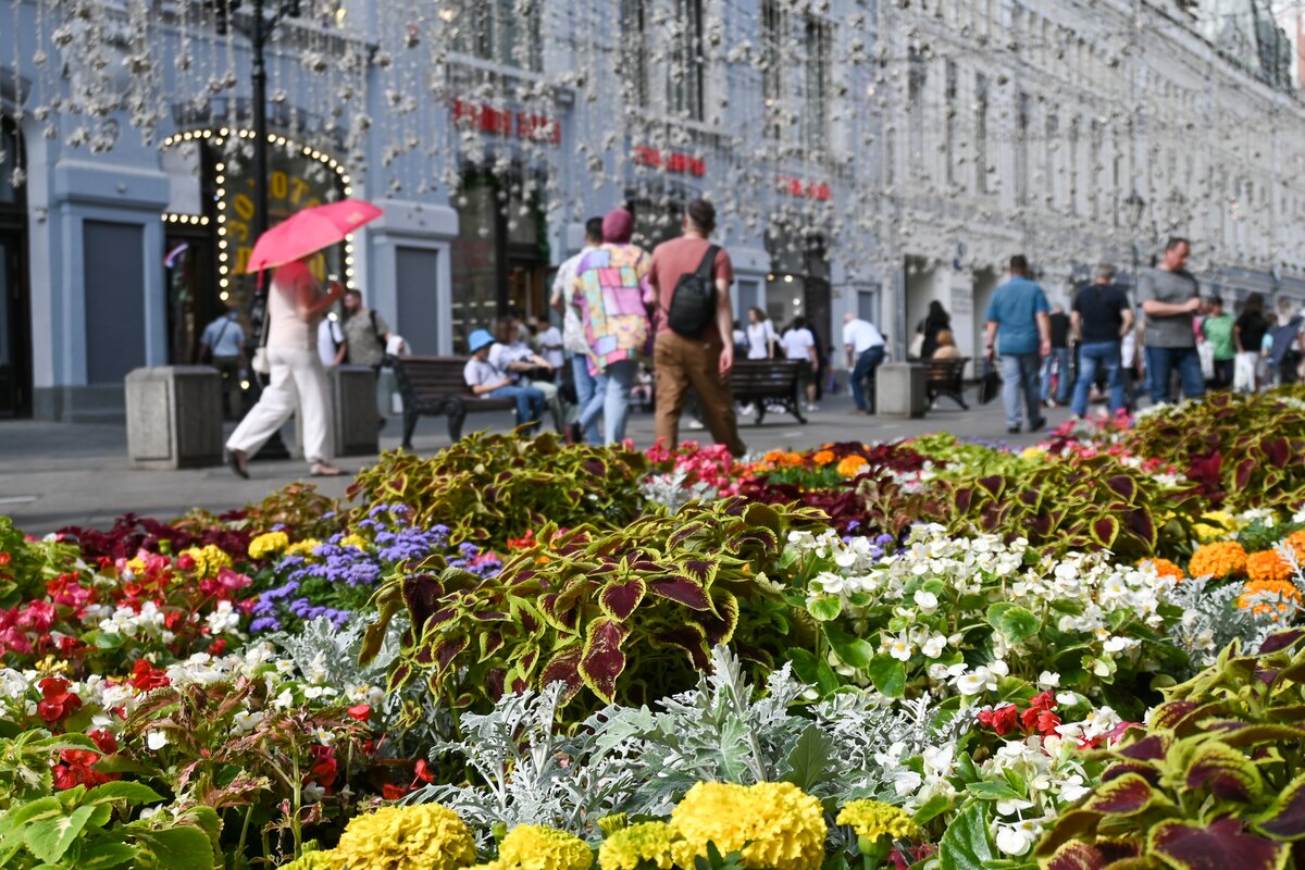 Выставка цветов в москве 2024 март