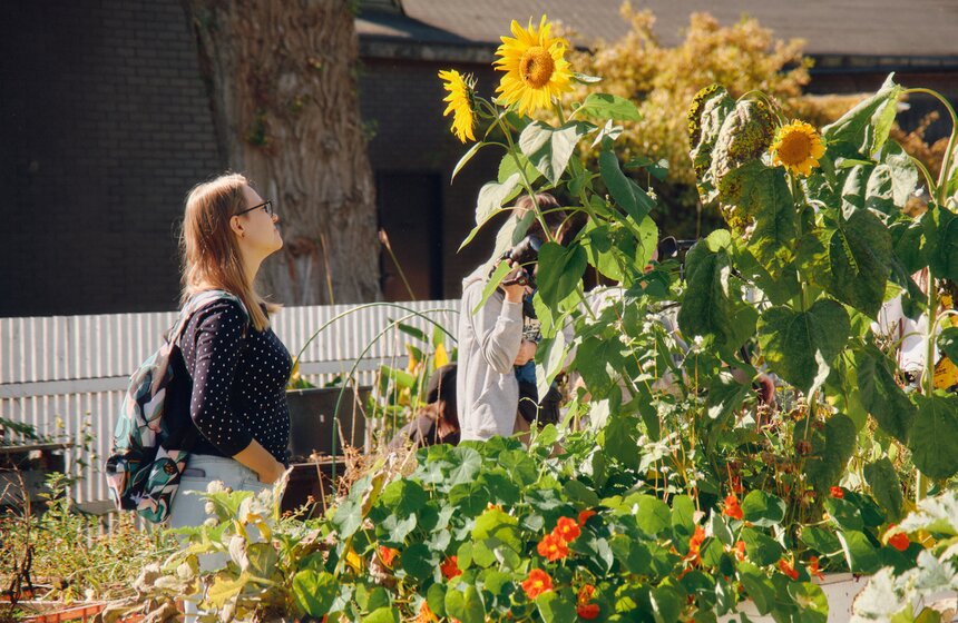 Дачный сезон завершился в "Зеленой школе" Парка Горького 11 фото