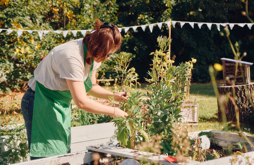 Дачный сезон завершился в "Зеленой школе" Парка Горького 4 фото