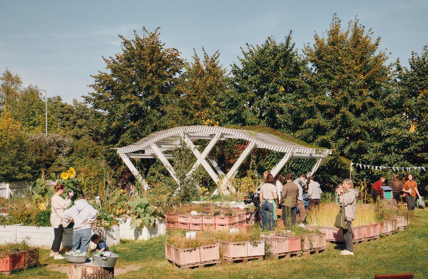 Дачный сезон завершился в "Зеленой школе" Парка Горького 10 фото