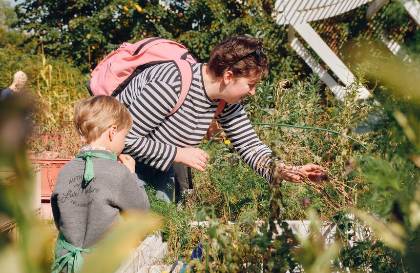 Дачный сезон завершился в "Зеленой школе" Парка Горького 5 фото