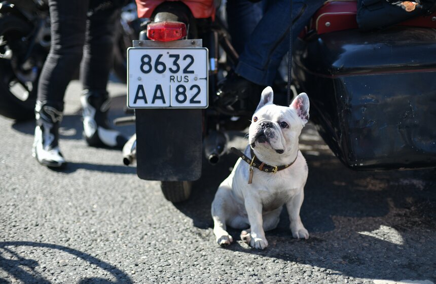 В Москве прошел мотофестиваль, посвященный закрытию сезона 5 фото