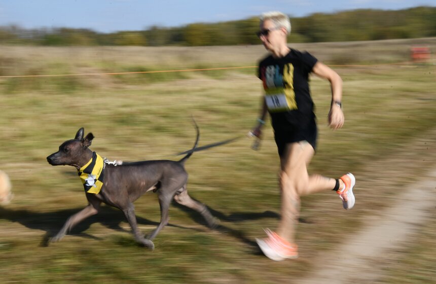 Кросс "Быстрый пес" прошел 30 сентября 21 фото