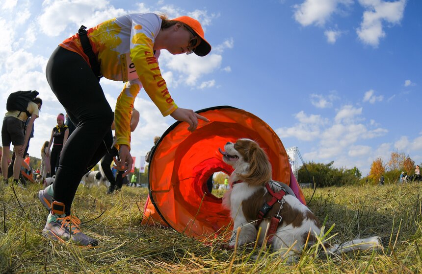 Кросс "Быстрый пес" прошел 30 сентября 6 фото