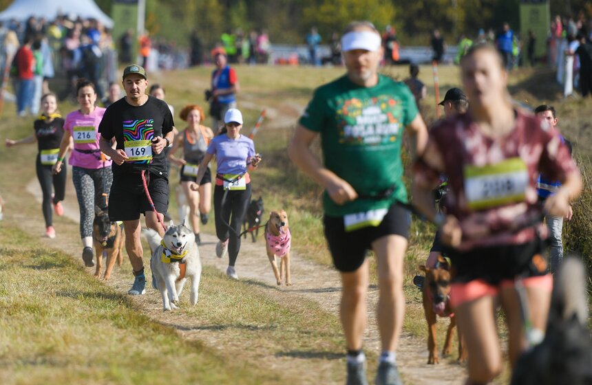 Кросс "Быстрый пес" прошел 30 сентября 20 фото