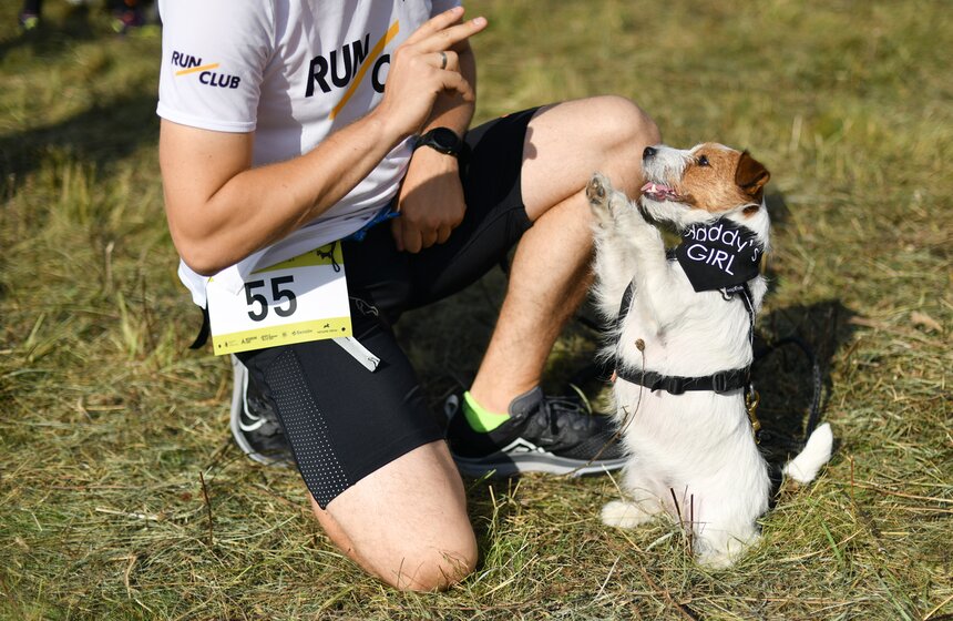 Кросс "Быстрый пес" прошел 30 сентября 9 фото