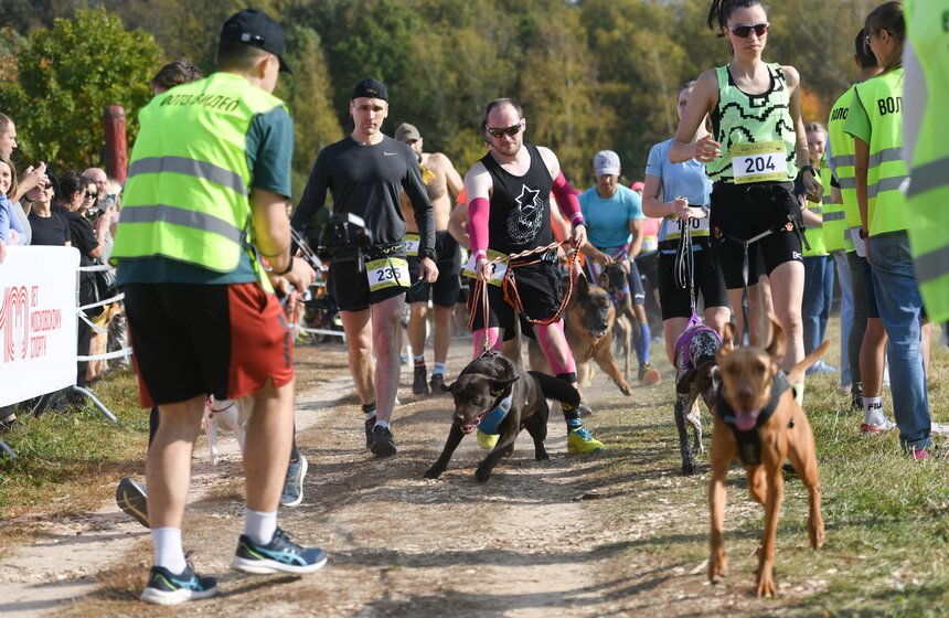 Кросс "Быстрый пес" прошел 30 сентября 13 фото