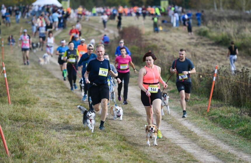 Кросс "Быстрый пес" прошел 30 сентября 18 фото