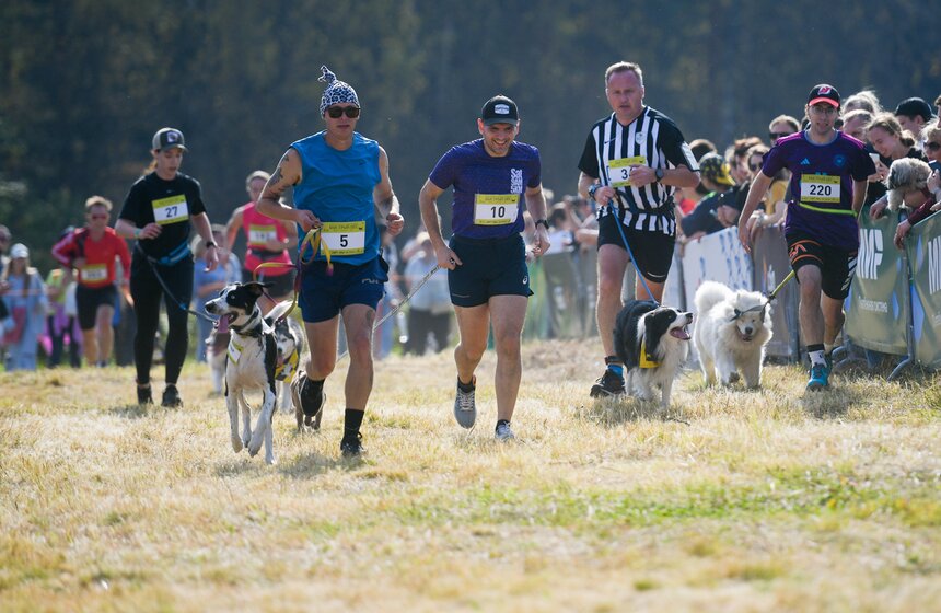 Кросс "Быстрый пес" прошел 30 сентября 24 фото