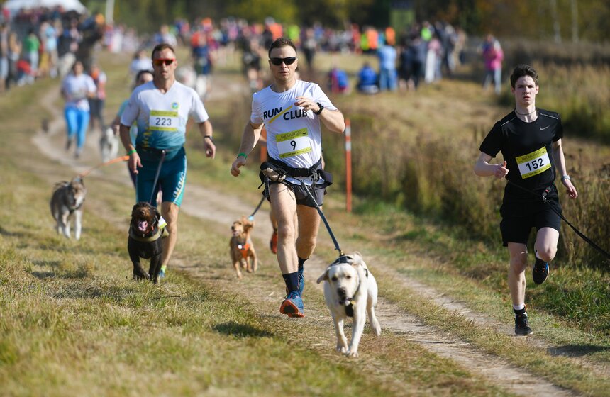 Кросс "Быстрый пес" прошел 30 сентября 16 фото