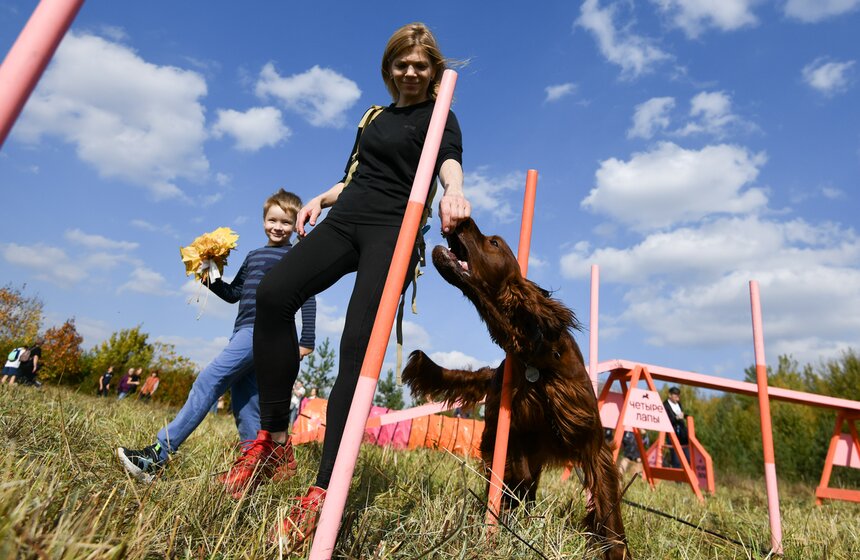 Кросс "Быстрый пес" прошел 30 сентября 2 фото