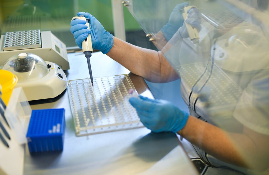 В РФ получен первый в мире генно-отредактированный кролик 19 фото