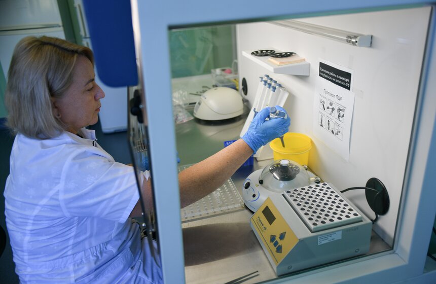 В РФ получен первый в мире генно-отредактированный кролик 20 фото