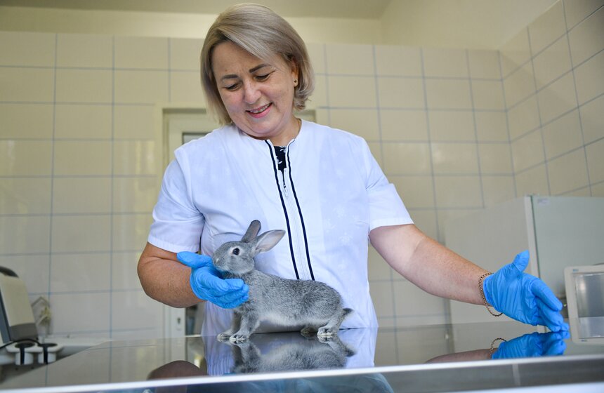 В РФ получен первый в мире генно-отредактированный кролик 12 фото
