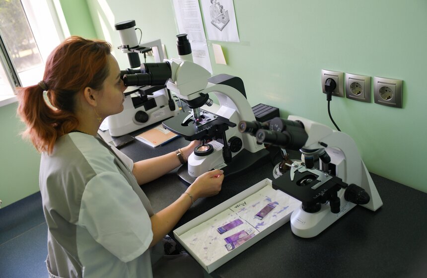 В РФ получен первый в мире генно-отредактированный кролик 18 фото