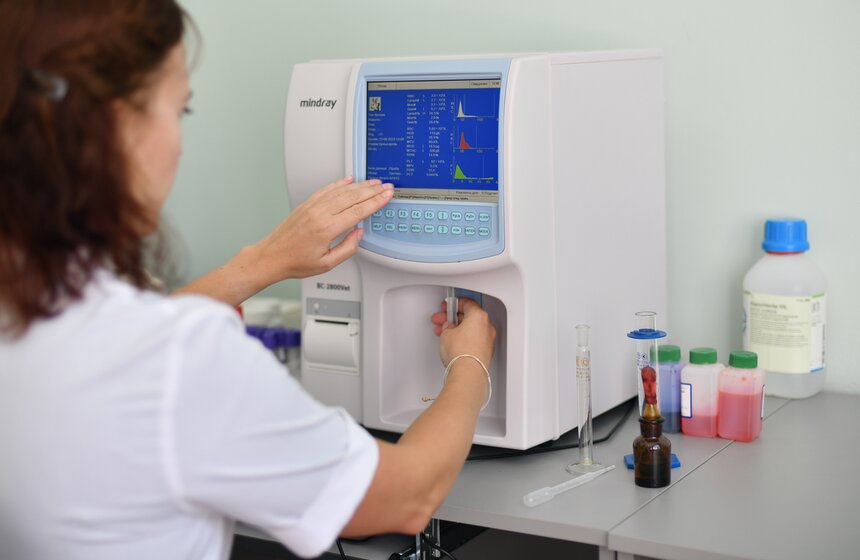 В РФ получен первый в мире генно-отредактированный кролик 21 фото