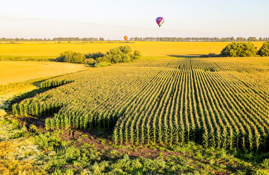 Фестиваль "Небо России" состоялся в Рязанской области 29 фото