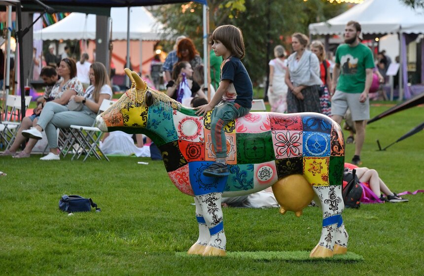 Фестиваль "День Индии" организовали в парке "Остров мечты" 19 фото