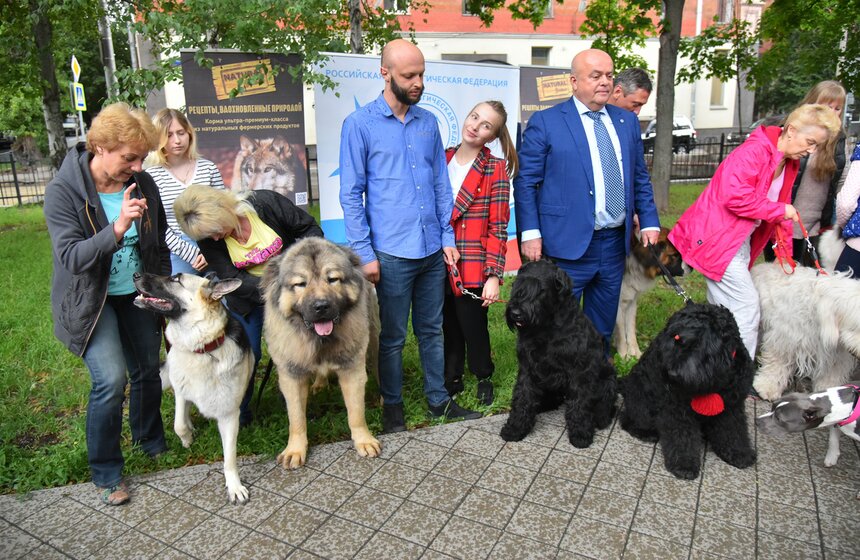 В УСКЦ "Останкино" провели брифинг потенциально опасных собак 12 фото