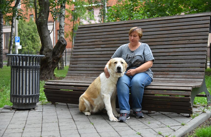 В УСКЦ "Останкино" провели брифинг потенциально опасных собак 10 фото