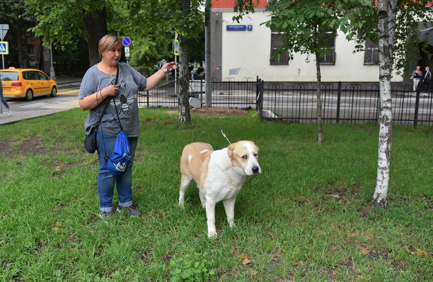 В УСКЦ "Останкино" провели брифинг потенциально опасных собак 2 фото