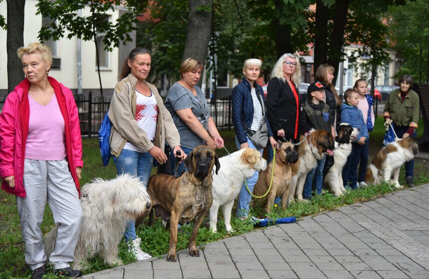 В УСКЦ "Останкино" провели брифинг потенциально опасных собак 6 фото