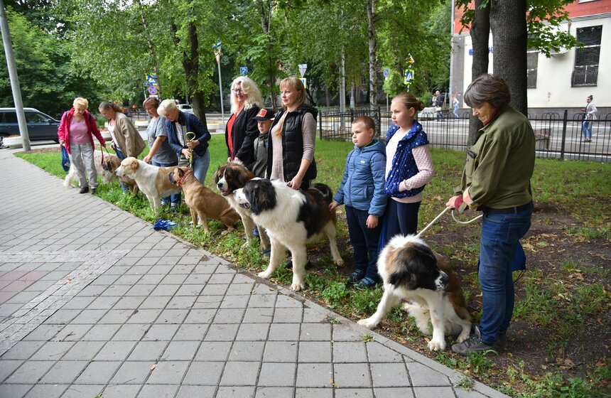 В УСКЦ "Останкино" провели брифинг потенциально опасных собак 3 фото