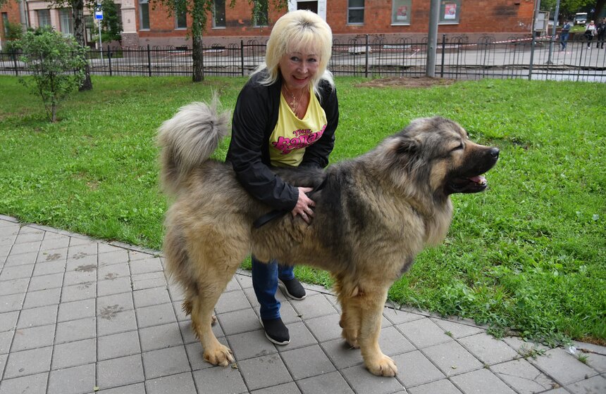 В УСКЦ "Останкино" провели брифинг потенциально опасных собак 4 фото