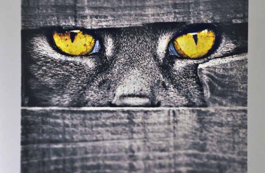 В столице проходит выставка фотографий в приложении Instagram 5 фото