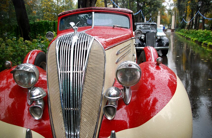 В Нескучном саду прошел фестиваль "Бабье лето" 8 фото