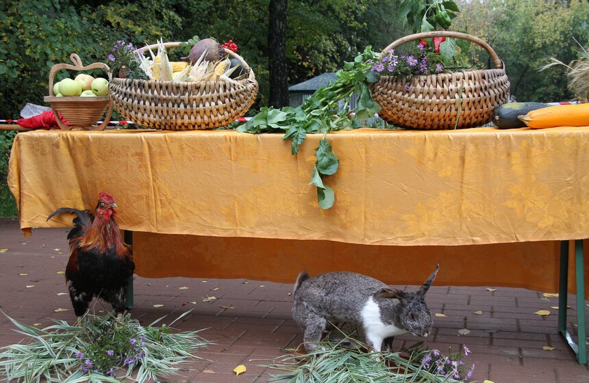 В Москве прошел Международный фестиваль "Казачья станица Москва" 3 фото
