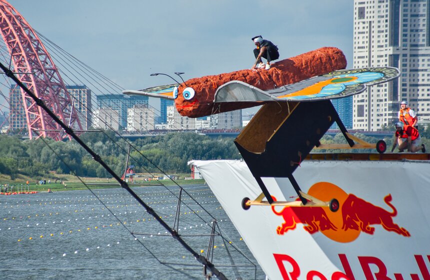 "Люля-Кебабочка" и "Шаурмяу". В Москве состоялся фестиваль Red Bull Flugtag – 2019 22 фото