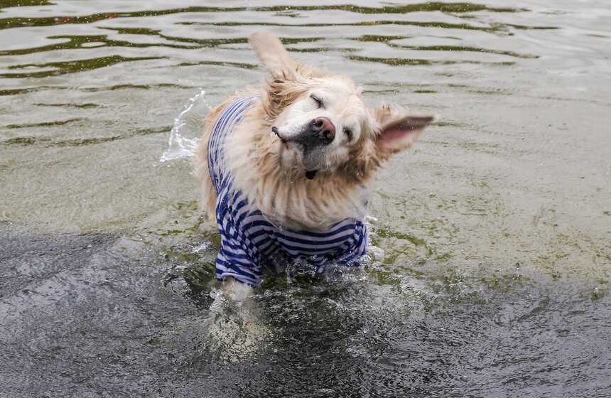 Празднование Дня ВДВ состоялось в Москве 8 фото