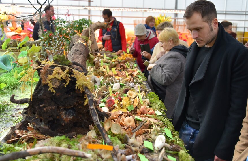 В Москве прошел ежегодный Грибной фестиваль 21 фото