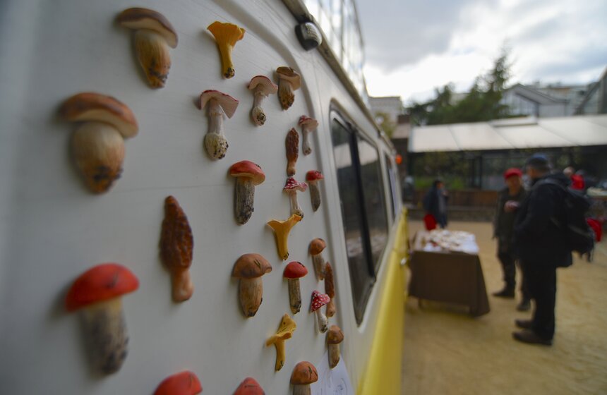 В Москве прошел ежегодный Грибной фестиваль 19 фото