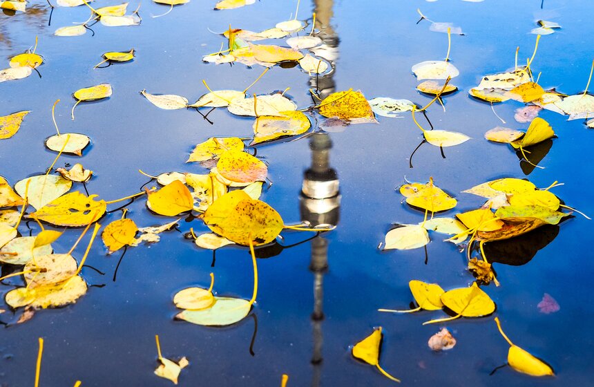 "Пожилое" бабье лето пришло в столицу 1 фото