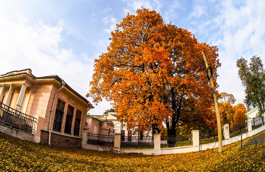 "Пожилое" бабье лето пришло в столицу 5 фото