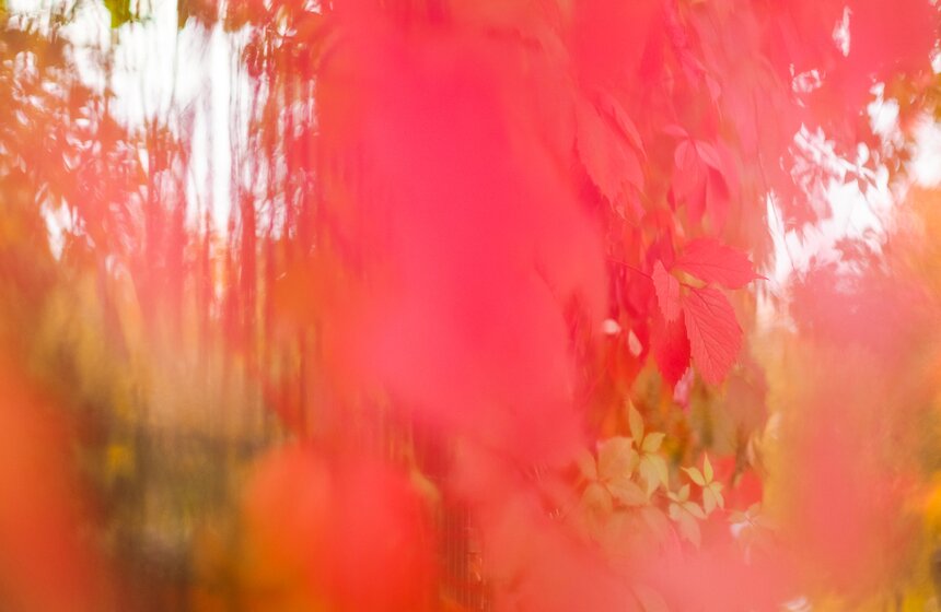 "Пожилое" бабье лето пришло в столицу 17 фото