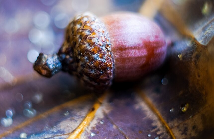 "Пожилое" бабье лето пришло в столицу 12 фото